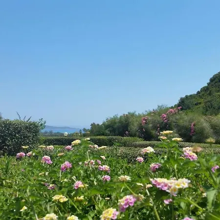 Silvia Villa Costa Rei